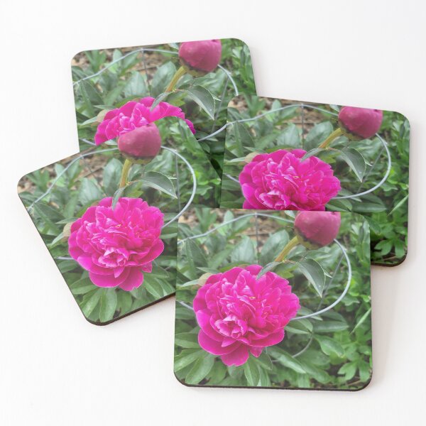 Item preview, Flower in our yard designed and sold by David D. Shaw.