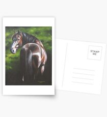 Evening Star Postcards