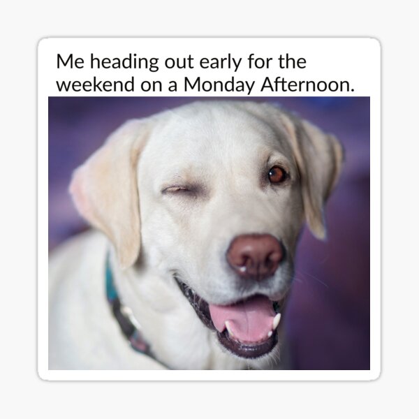 The Early Dog Gets Fired Sticker
