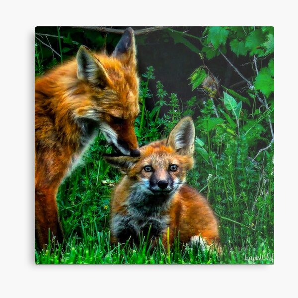 Aperçu de l'œuvre Une mère renard avec sa progéniture créée et vendue par LapisWOF.