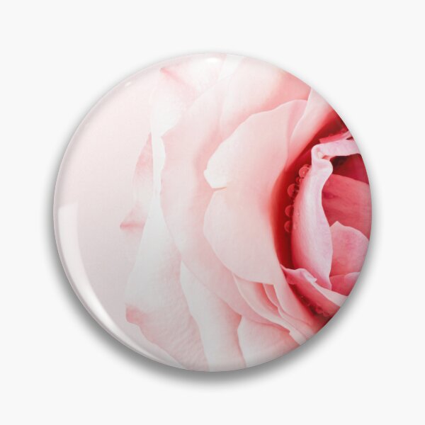 Artikelvorschau, Pale Pink Rose Photo entworfen und verkauft von SuziQPrayers427.