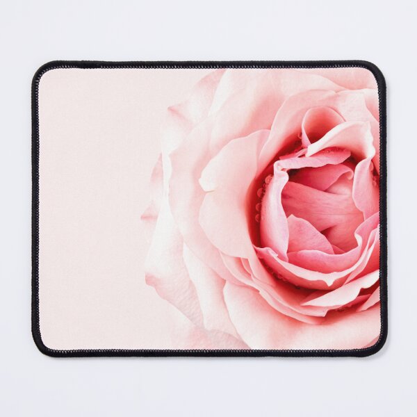 Artikelvorschau, Pale Pink Rose Photo entworfen und verkauft von SuziQPrayers427.