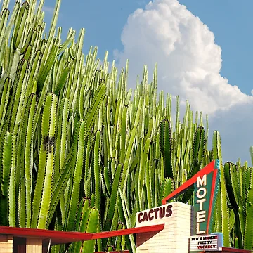 Vorschaubild zum Design Cactus Motel von _InTheGreenhouse