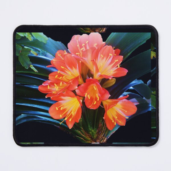 Item preview, CLIVIA LILY designed and sold by JoAnnHayden.
