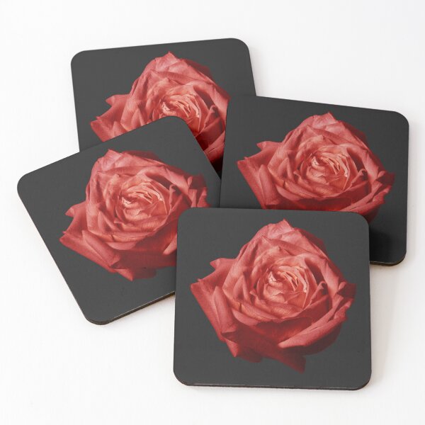 Item preview, Soft Red Rose with a Black Background  designed and sold by SuziQPrayers427.