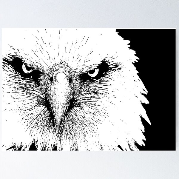 Item preview, 12 American Bald Eagle By Chris McCabe - DRAGAN GRAFIX designed and sold by Christopher McCabe.