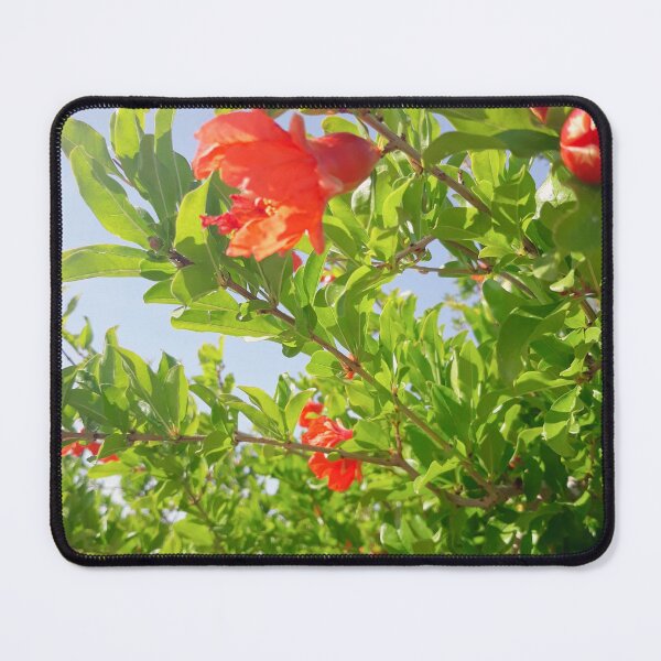 Item preview, Pomegranate Flower designed and sold by naomi-jgs.