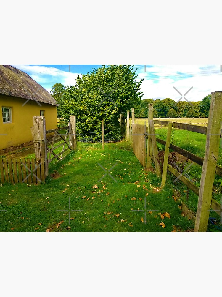 Elsham hall christmas