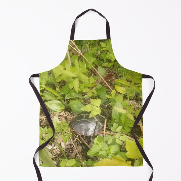 Item preview, Painted Turtle designed and sold by BellsPainting.