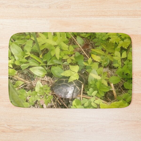 Item preview, Painted Turtle designed and sold by BellsPainting.