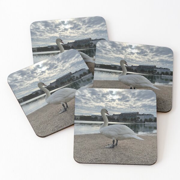 Item preview, Morning Swan • 2022 designed and sold by Mortinus.