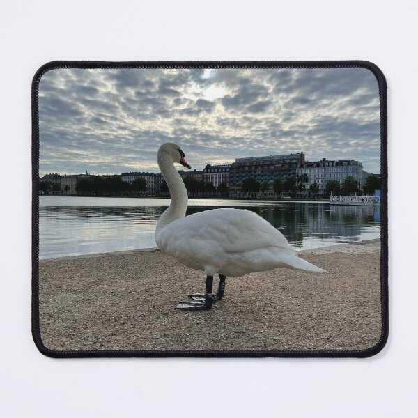 Item preview, Morning Swan • 2022 designed and sold by Mortinus.