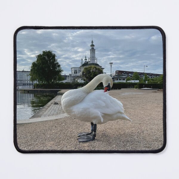 Item preview, Copenhagen Swan • Feathers • 2022 designed and sold by Mortinus.