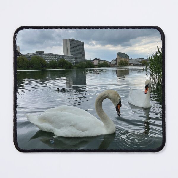 Item preview, Copenhagen Swans • Planetarium • 2022 designed and sold by Mortinus.
