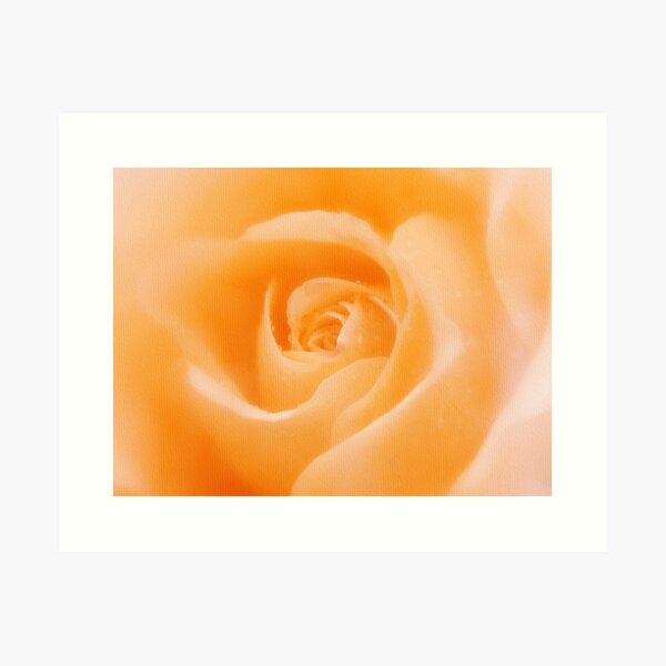 Aroma Of Love Art Print
