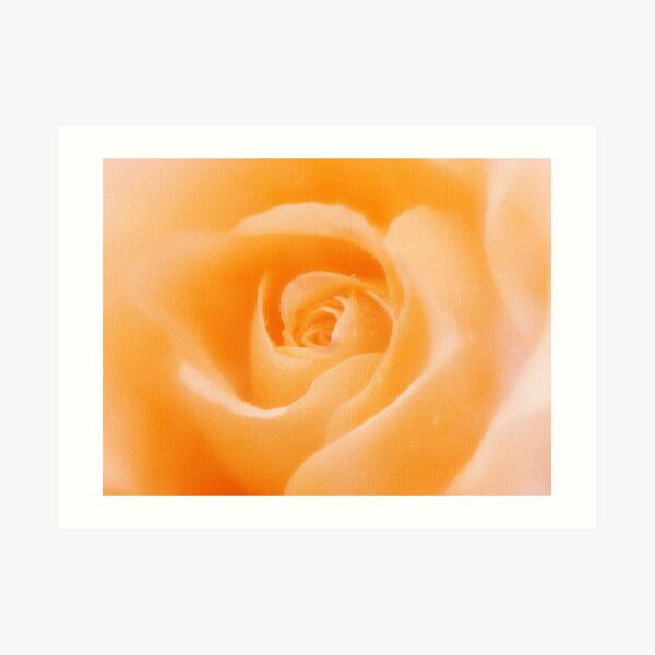 Aroma Of Love Art Print