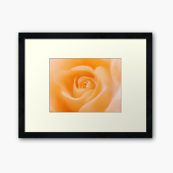 Aroma Of Love Framed Art Print