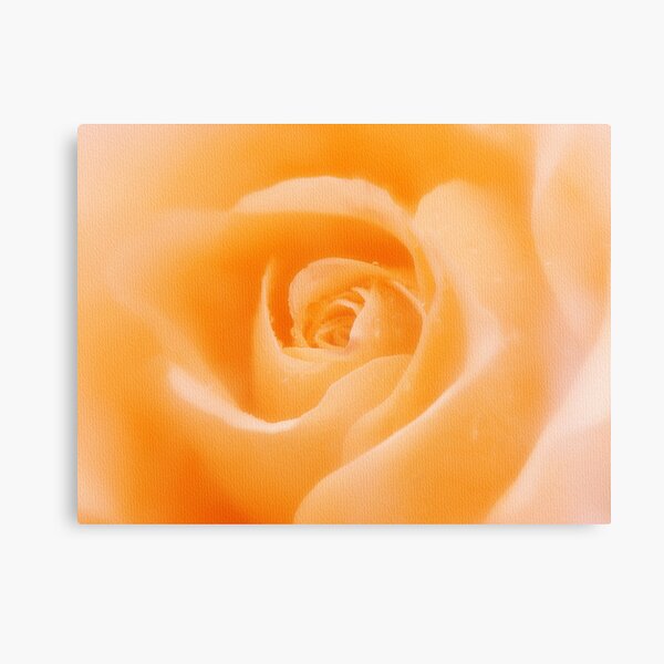 Aroma Of Love Canvas Print