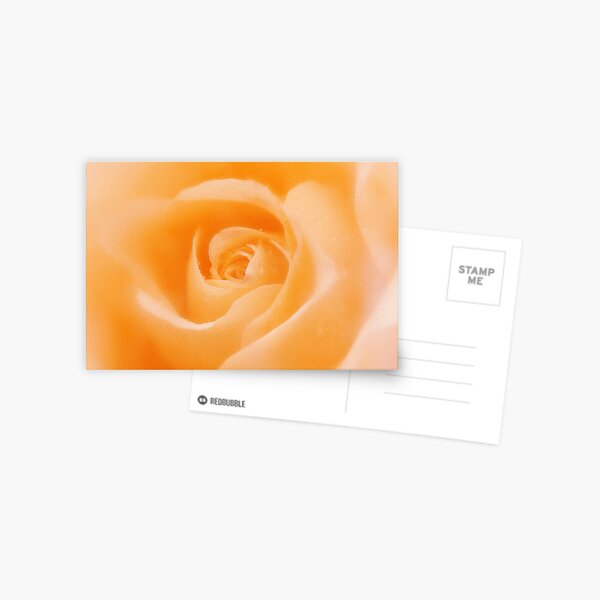Aroma Of Love Postcard
