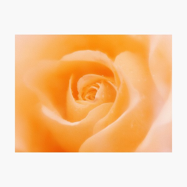 Aroma Of Love Photographic Print