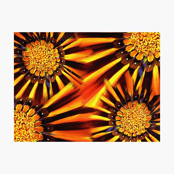 Busting Colors Photographic Print