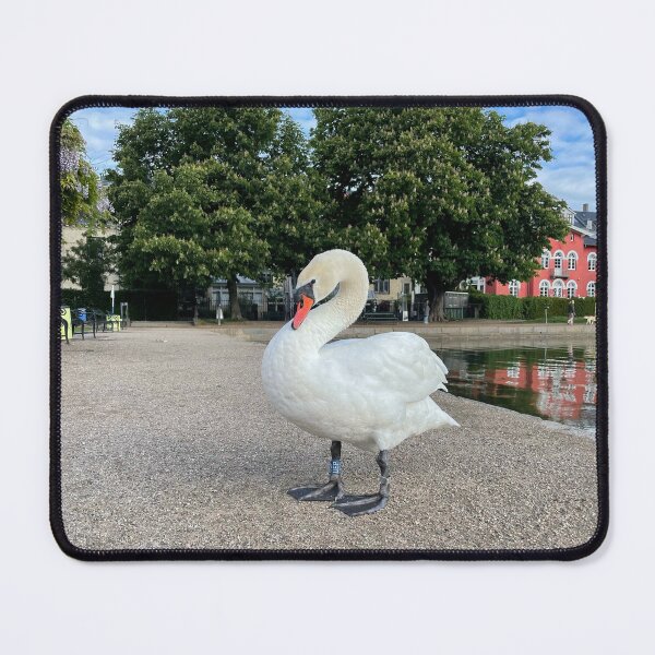 Item preview, Copenhagen Swan • Trees • 2022 designed and sold by Mortinus.
