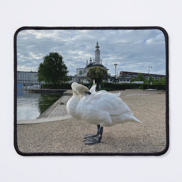 Item preview, Copenhagen Swan • Hiding in the Feathers • 2022 designed and sold by Mortinus.