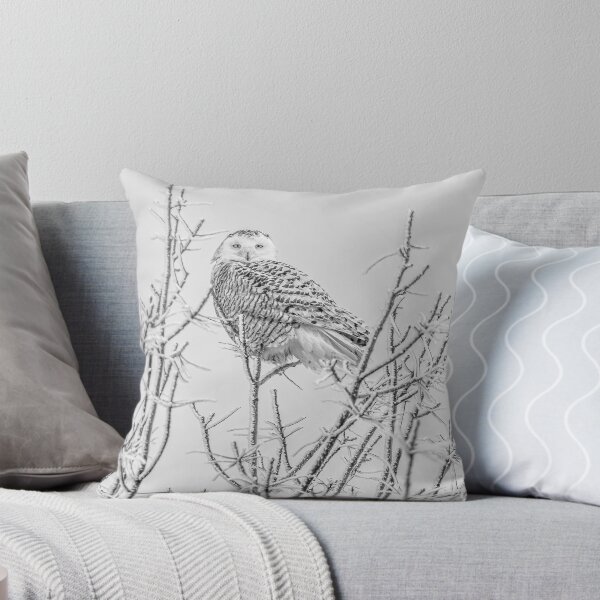 Item preview, Snowy Owl 2014 4 Black and White designed and sold by Thomasyoung.