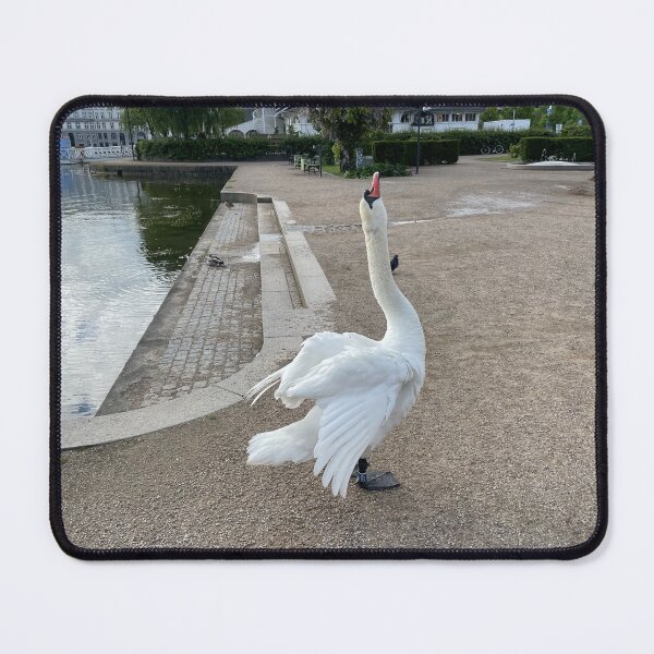 Item preview, Copenhagen Swan • Neck • 2022 designed and sold by Mortinus.