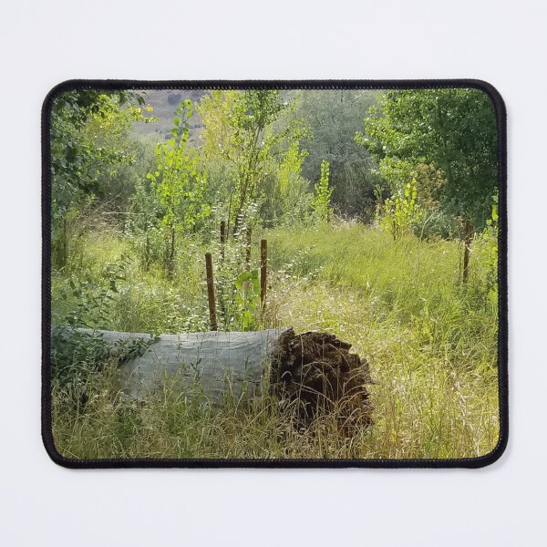 Item preview, Log in nature designed and sold by ptchris65.