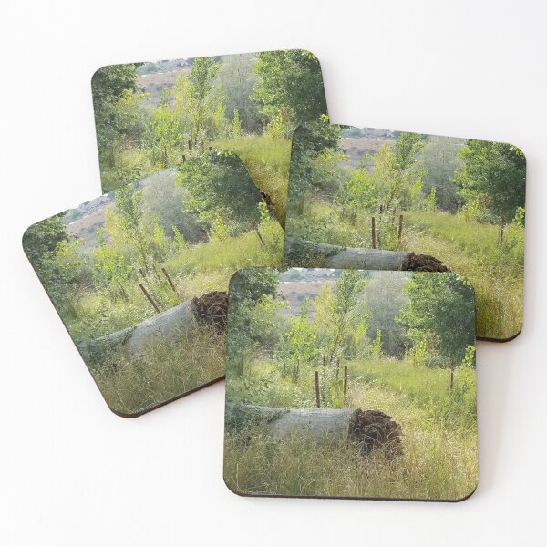 Item preview, Log in nature designed and sold by ptchris65.