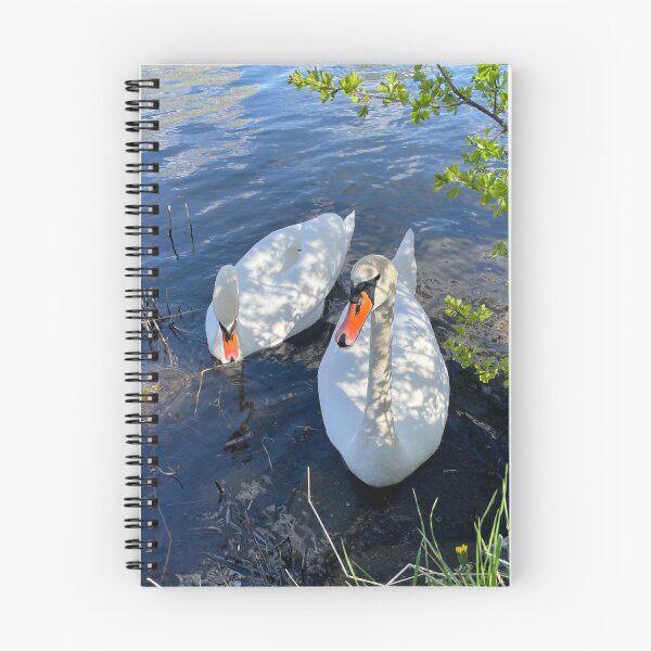 Item preview, Two Swans • Branches • 2022 designed and sold by Mortinus.