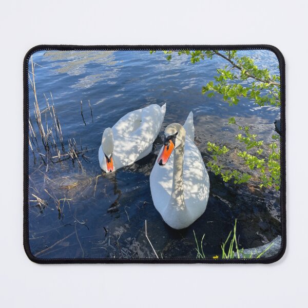 Item preview, Two Swans • Branches • 2022 designed and sold by Mortinus.