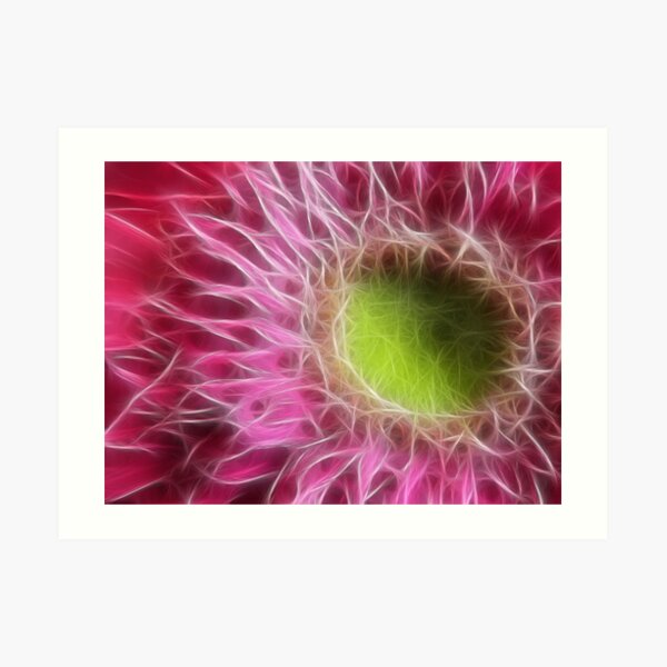 Pink Gerbera Abstract Art Print