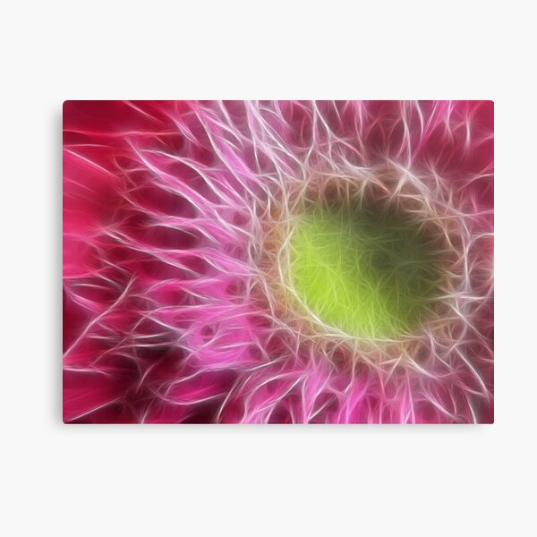 Pink Gerbera Abstract Metal Print