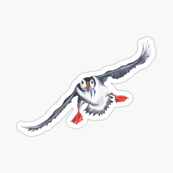 flying puffin Sticker