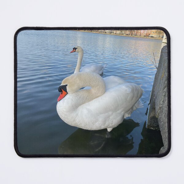 Item preview, Two Swans • Stone  designed and sold by Mortinus.