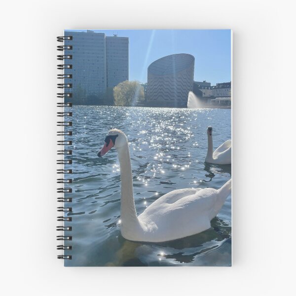 Item preview, Two Swans • Morning Light • 2022 • One designed and sold by Mortinus.