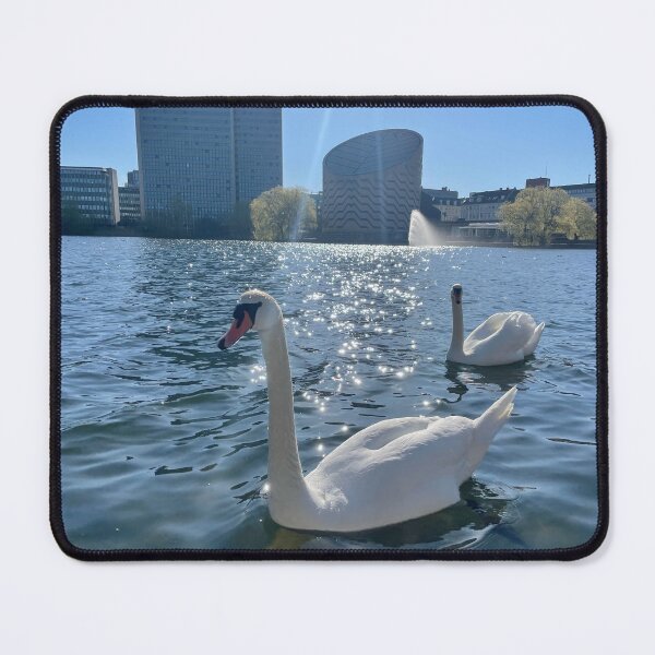 Item preview, Two Swans • Morning Light • 2022 • One designed and sold by Mortinus.