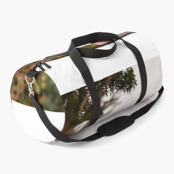 Item preview, Touring designed and sold by JWKexotics.