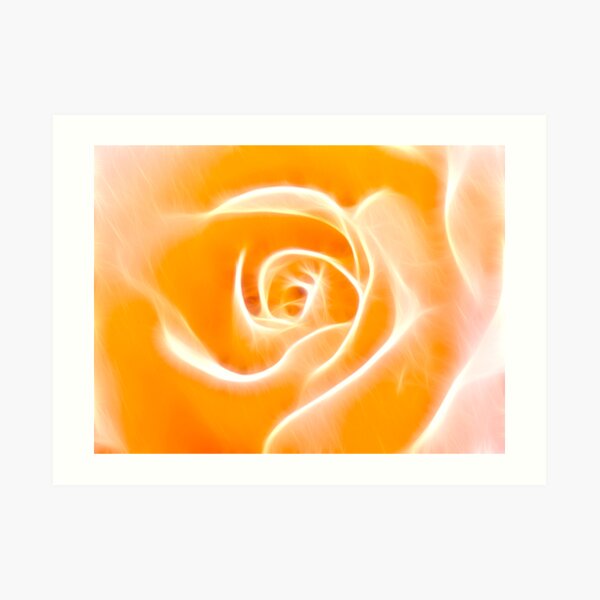 Glowing Rose Art Print