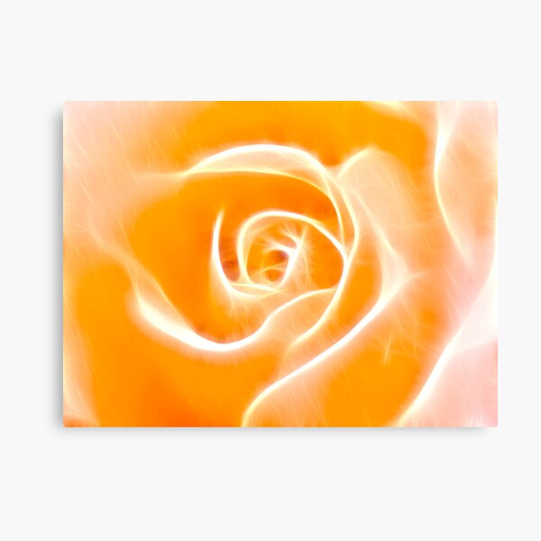 Glowing Rose Canvas Print