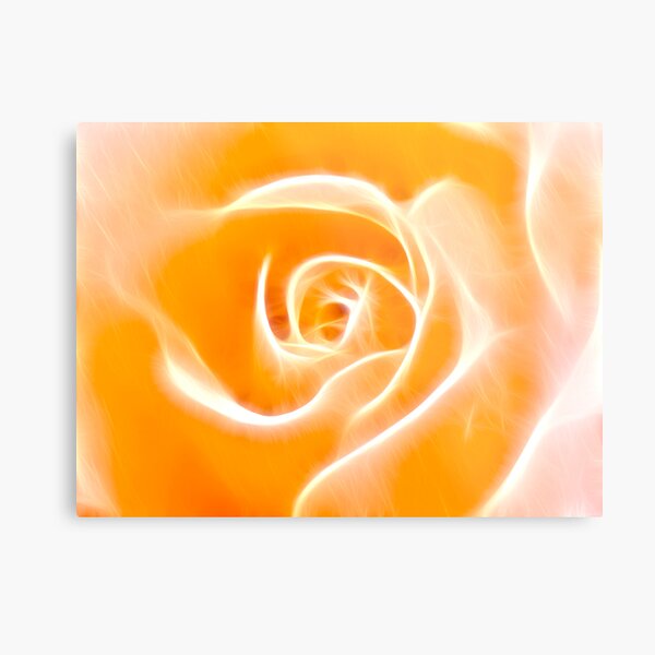 Glowing Rose Metal Print