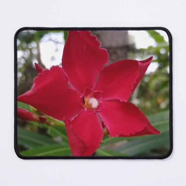 Item preview, Kaneru/ Nerium Oleander Floral Photography Design designed and sold by DHAMMISTYLES.