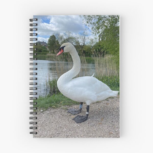 Item preview, Copenhagen Swan • Green • 2022 designed and sold by Mortinus.
