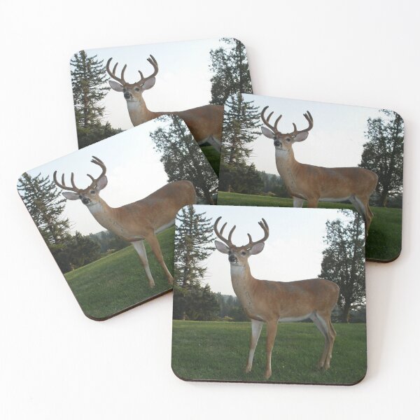 Item preview, White Tail Buck designed and sold by ByCollins.