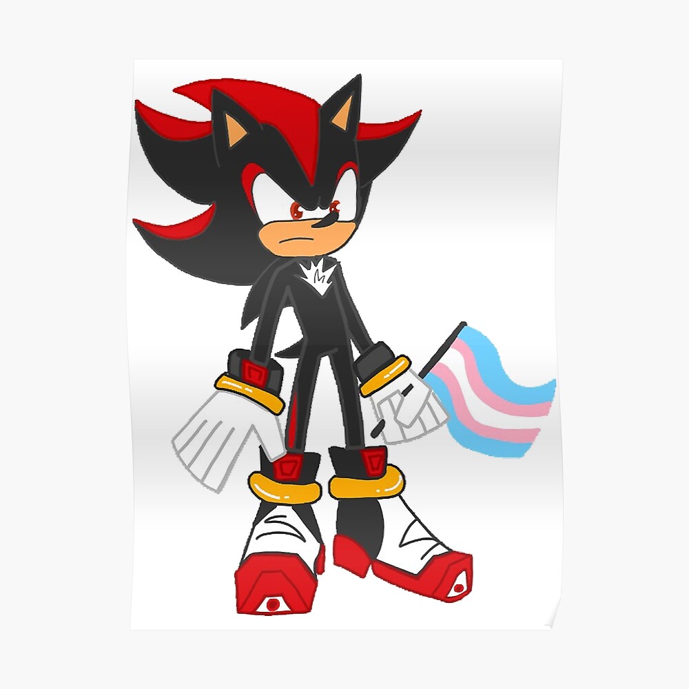 Shadow The Hedgehog mlm pride flag  Sticker for Sale by Trashcreatyre