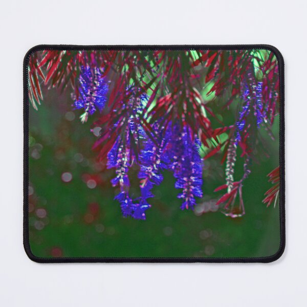 Item preview, Blue on Red designed and sold by treborbob.