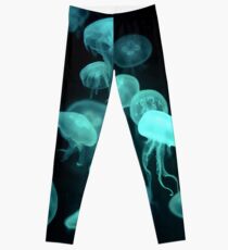 Qualle 2.0 Leggings