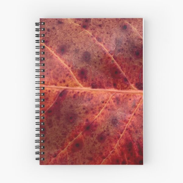 Item preview, Negril almond leaf designed and sold by ClaireRequa.